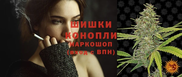 хмурый Горно-Алтайск