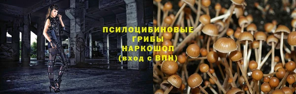 дурь Горняк