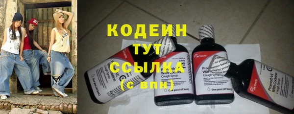 дурь Горняк